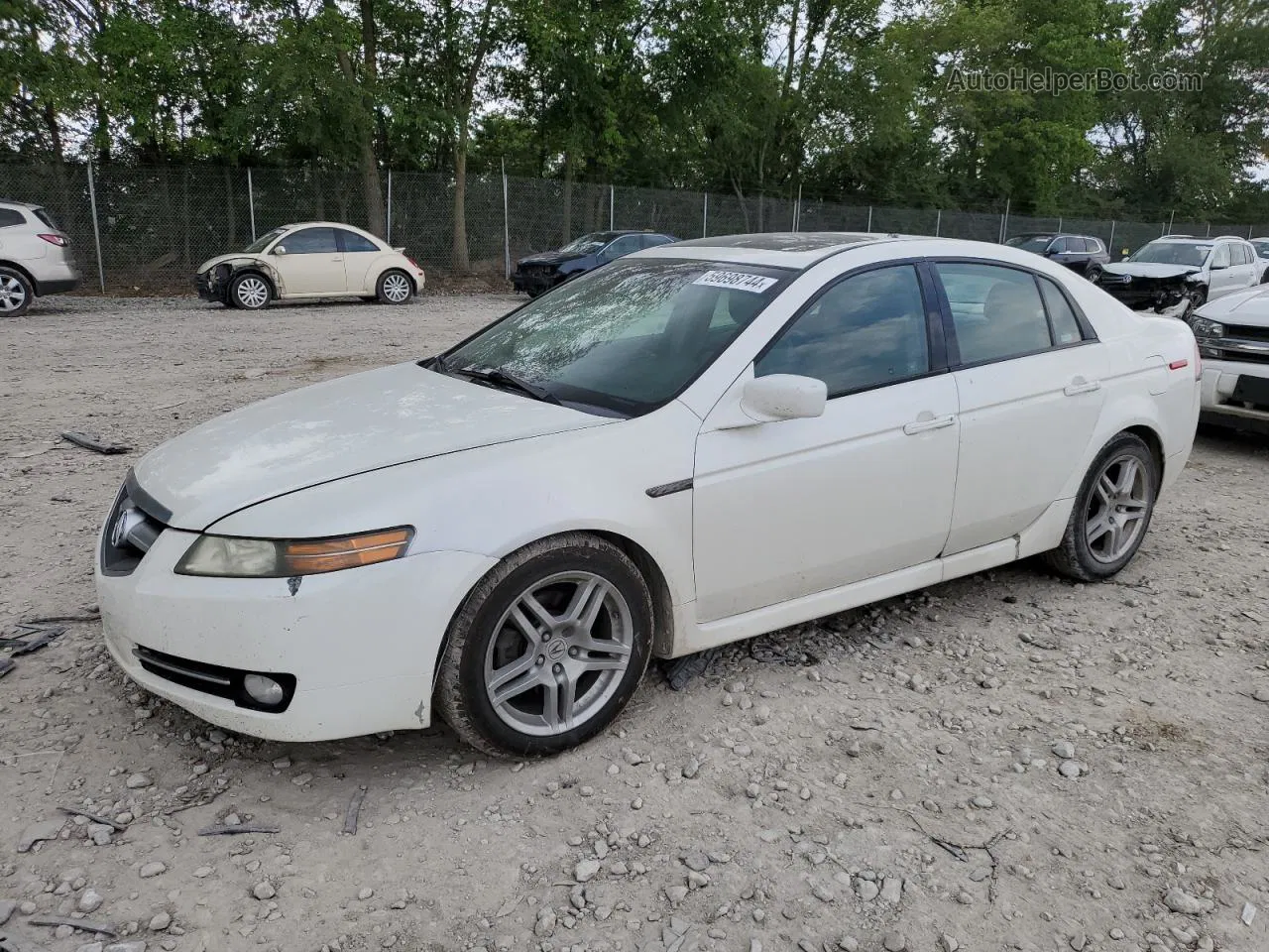 2008 Acura Tl  White vin: 19UUA66208A037342