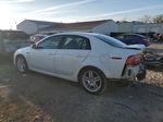 2008 Acura Tl  White vin: 19UUA66208A055193