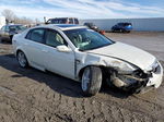 2008 Acura Tl  White vin: 19UUA66208A056473