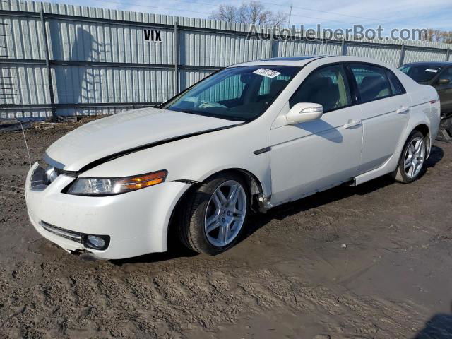 2008 Acura Tl  White vin: 19UUA66208A056473