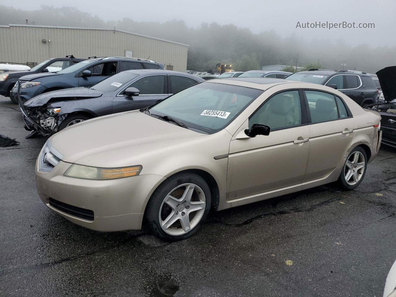 2005 Acura Tl  Золотой vin: 19UUA66215A007858