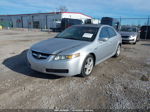 2005 Acura Tl   Silver vin: 19UUA66215A034719