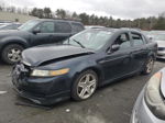 2005 Acura Tl  Black vin: 19UUA66215A070572