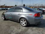 2005 Acura Tl  Серый vin: 19UUA66215A075223