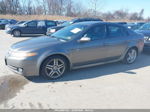 2008 Acura Tl 3.2 Серый vin: 19UUA66218A004298