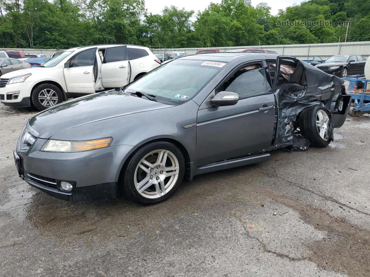 2008 Acura Tl  Gray vin: 19UUA66218A009825