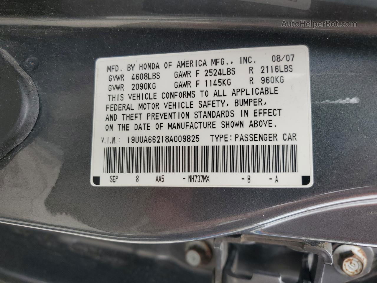 2008 Acura Tl  Серый vin: 19UUA66218A009825