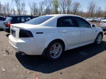 2008 Acura Tl  White vin: 19UUA66218A033770