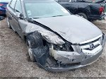 2008 Acura Tl 3.2 Серый vin: 19UUA66218A038225