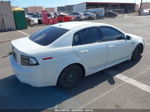 2008 Acura Tl   White vin: 19UUA66218A048866