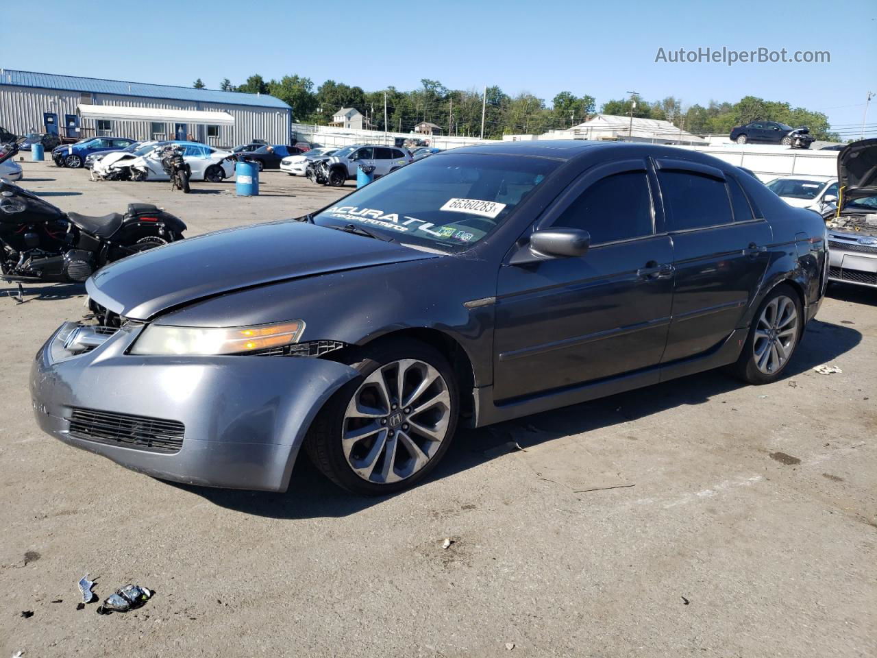 2005 Acura Tl  Серый vin: 19UUA66225A011160