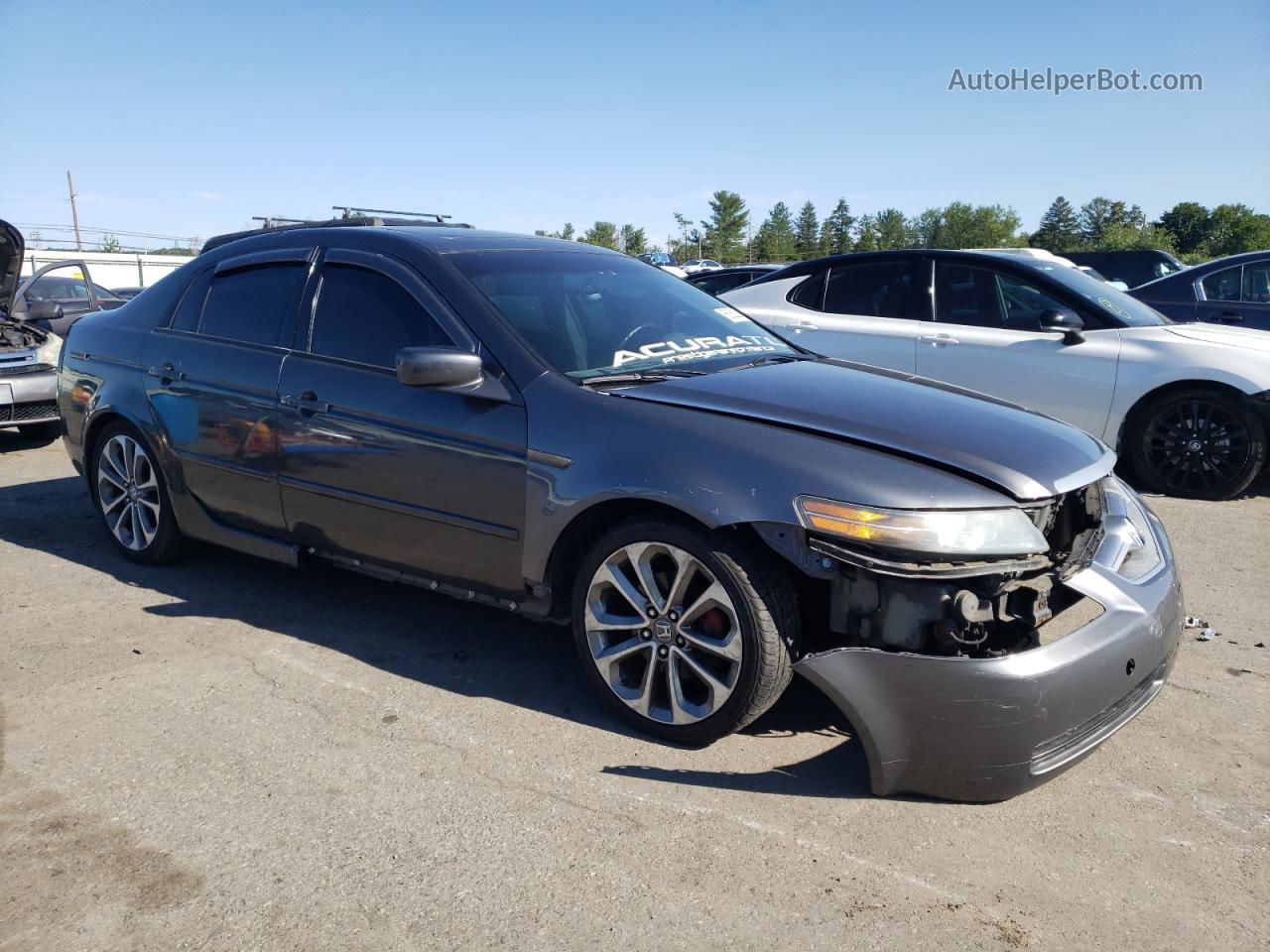 2005 Acura Tl  Серый vin: 19UUA66225A011160