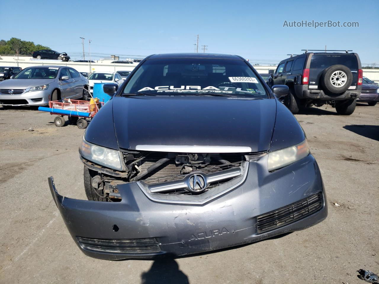 2005 Acura Tl  Серый vin: 19UUA66225A011160