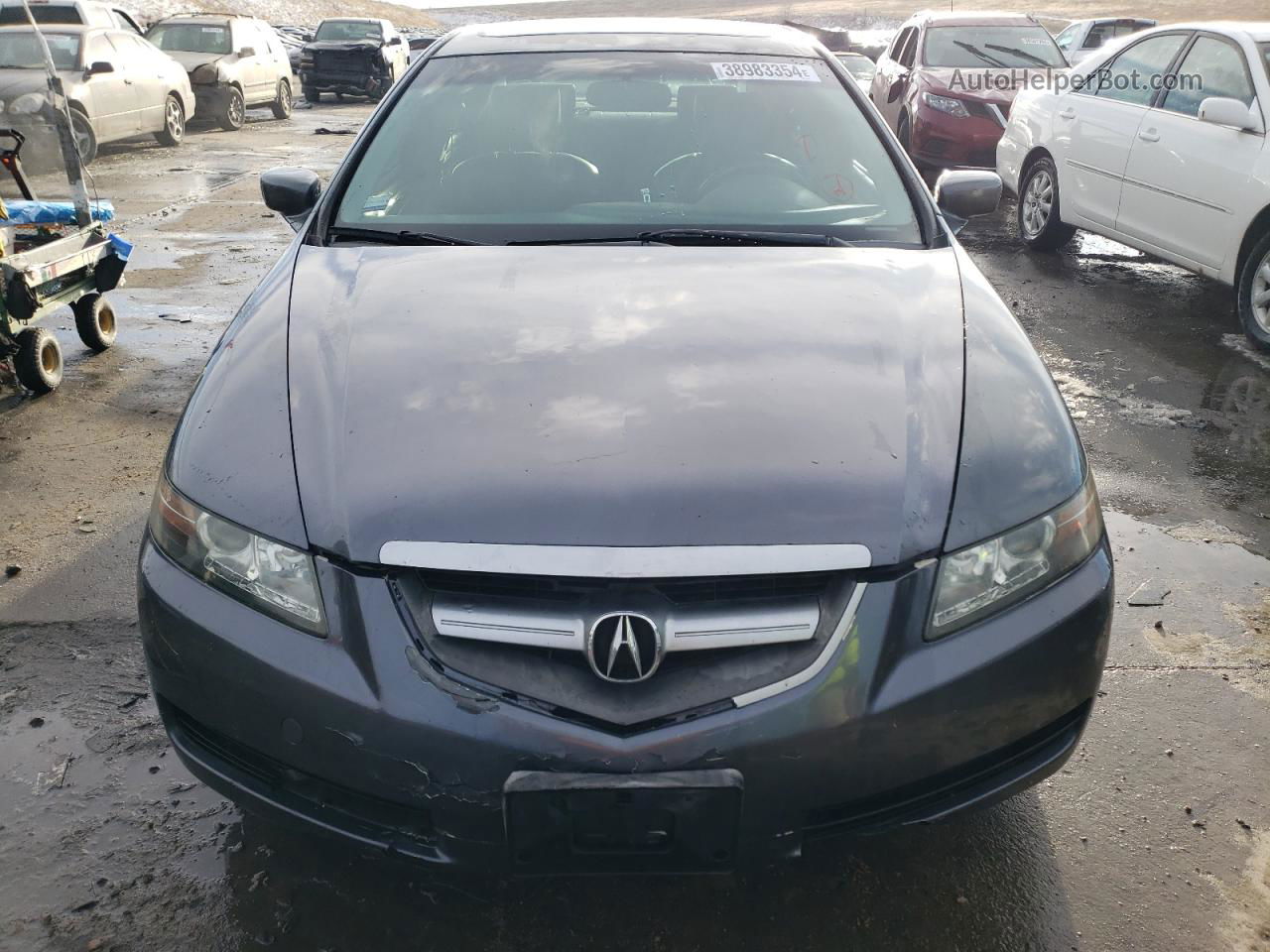 2005 Acura Tl  Gray vin: 19UUA66225A031201