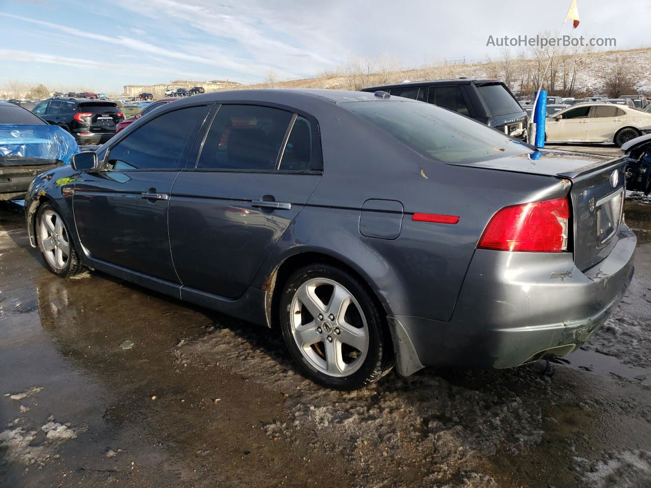 2005 Acura Tl  Gray vin: 19UUA66225A031201