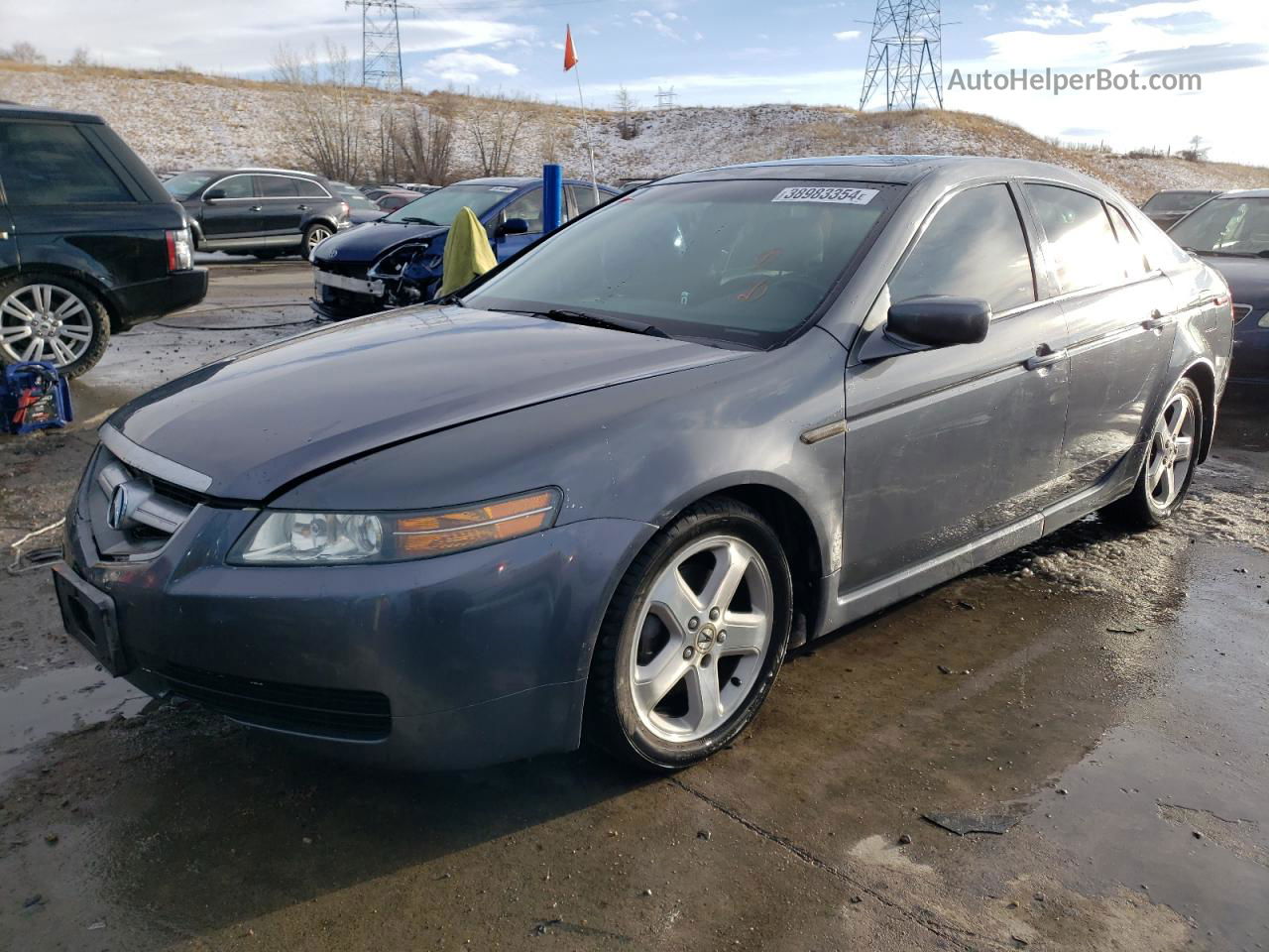 2005 Acura Tl  Gray vin: 19UUA66225A031201