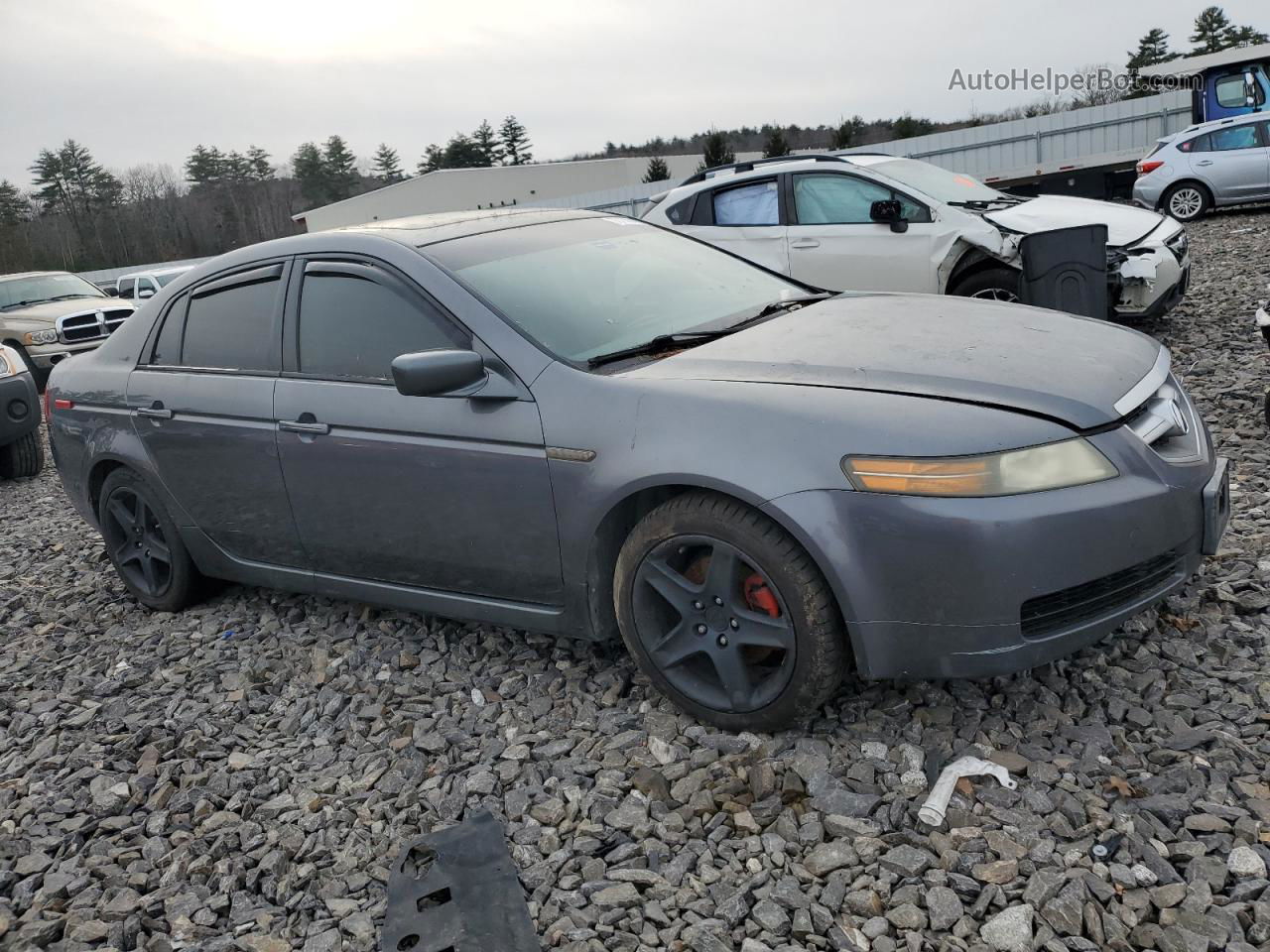 2005 Acura Tl  Gray vin: 19UUA66225A043042