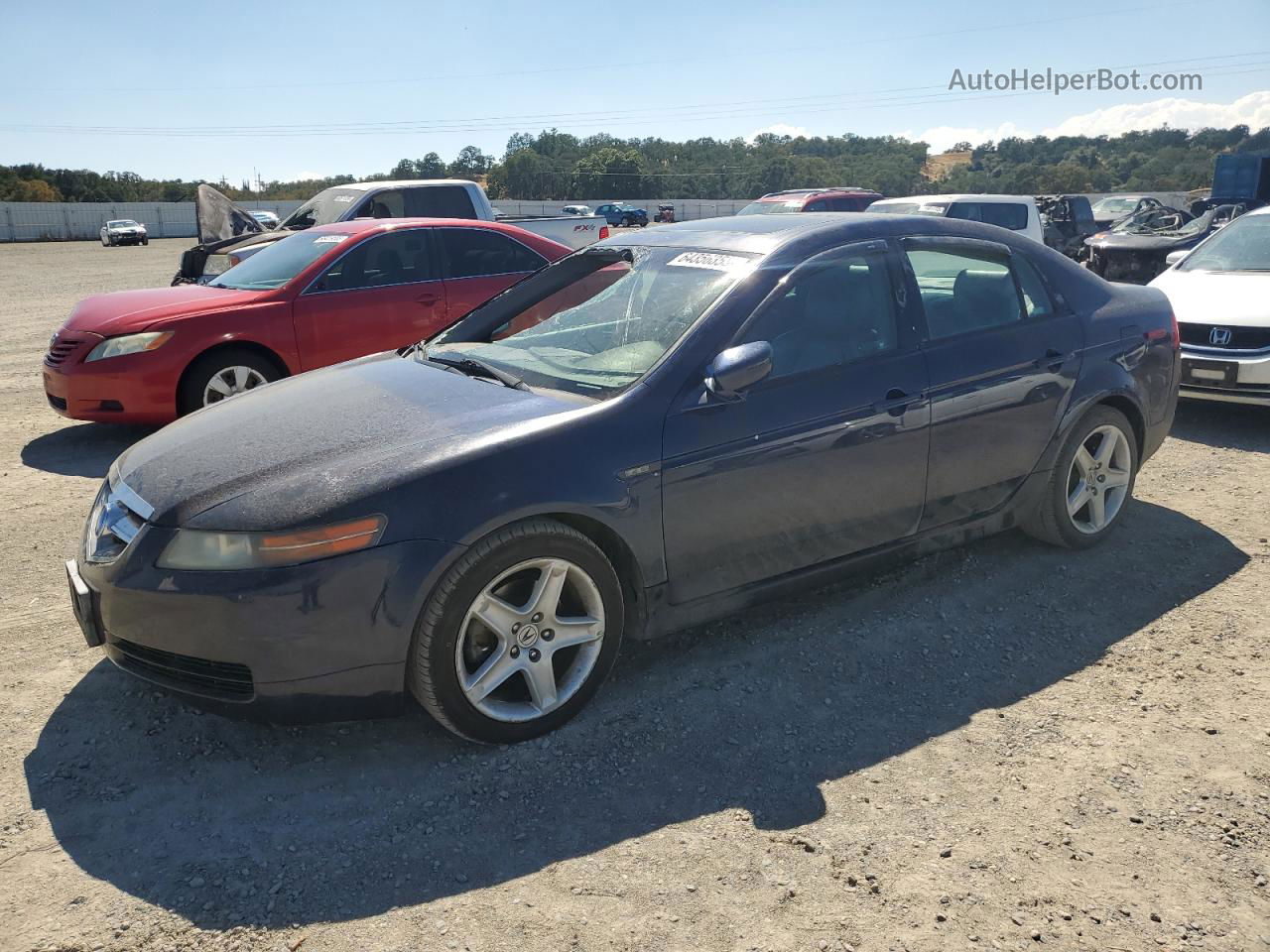 2005 Acura Tl  Blue vin: 19UUA66225A044532