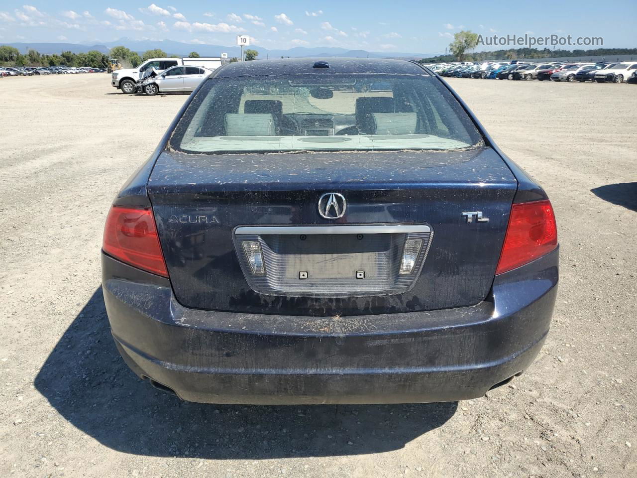 2005 Acura Tl  Blue vin: 19UUA66225A044532