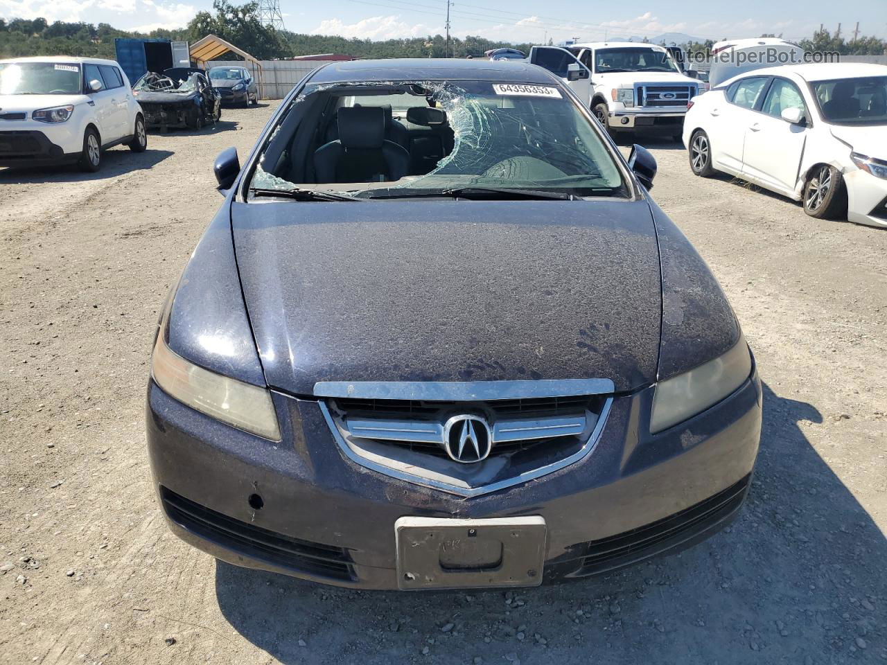 2005 Acura Tl  Blue vin: 19UUA66225A044532