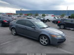 2005 Acura Tl Base (a5)/base W/nav System (a5) Gray vin: 19UUA66225A050699