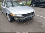 2005 Acura Tl   Серебряный vin: 19UUA66225A056552