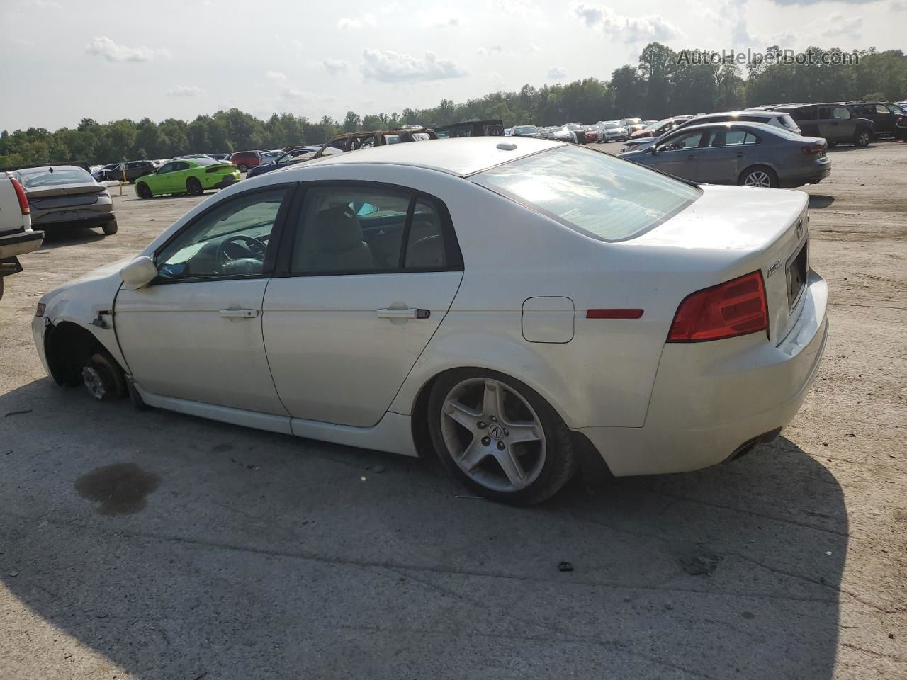 2005 Acura Tl  White vin: 19UUA66225A068202