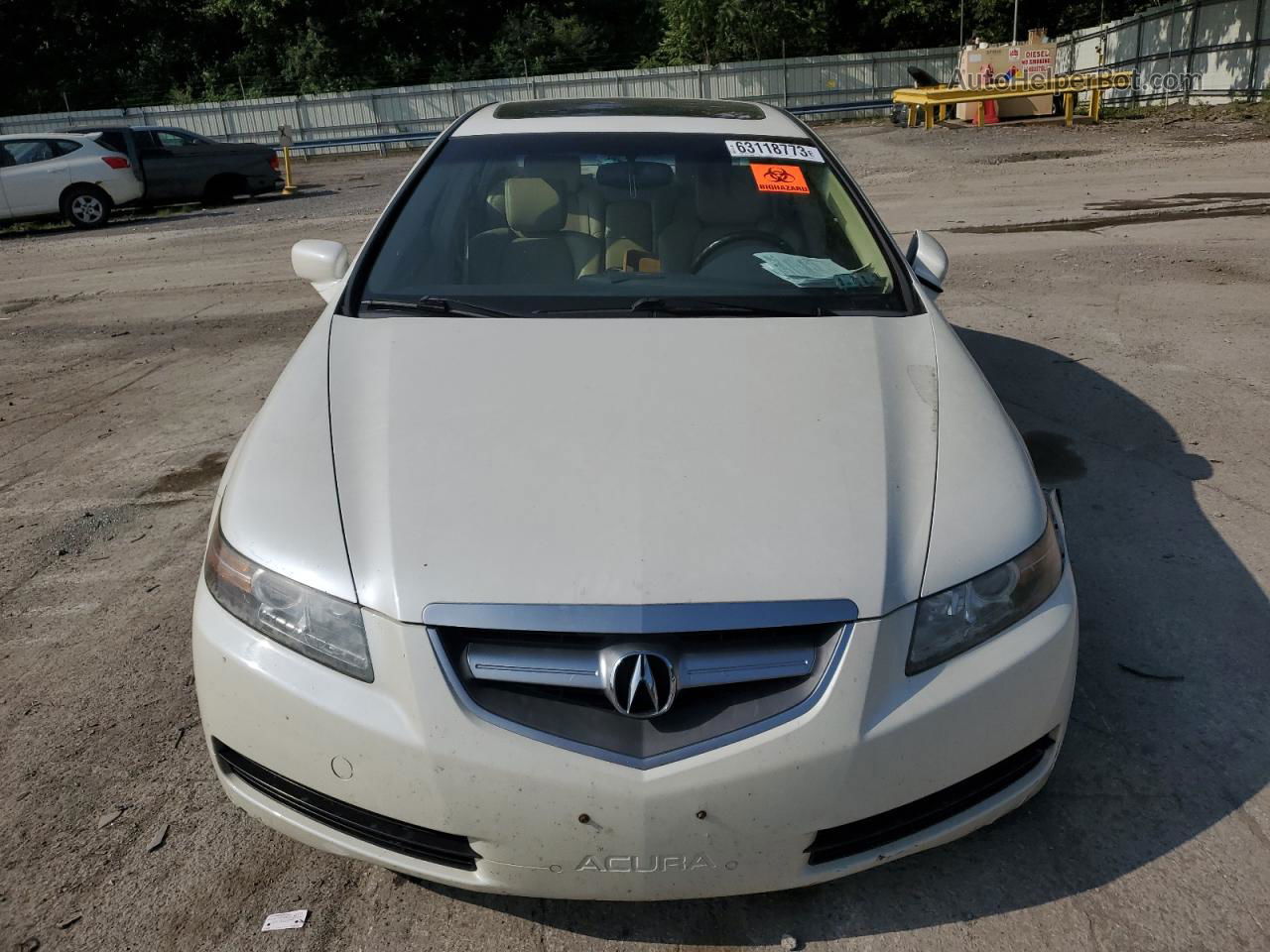 2005 Acura Tl  White vin: 19UUA66225A068202