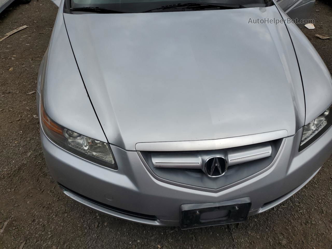 2005 Acura Tl  Silver vin: 19UUA66225A079457