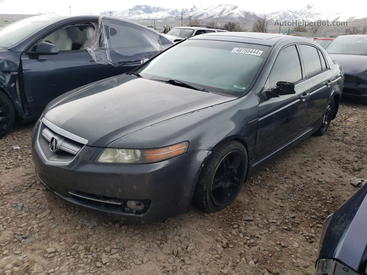 2008 Acura Tl  Gray vin: 19UUA66228A033437