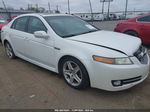 2008 Acura Tl 3.2 White vin: 19UUA66228A045538