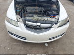 2008 Acura Tl 3.2 Белый vin: 19UUA66228A045538