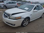 2008 Acura Tl 3.2 White vin: 19UUA66228A045538