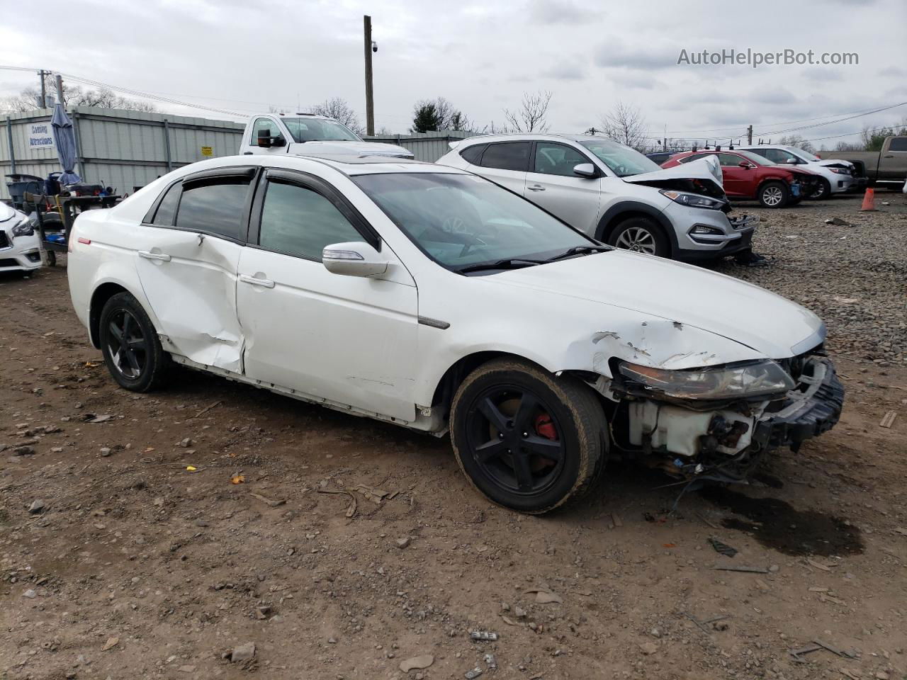 2008 Acura Tl  White vin: 19UUA66228A052876