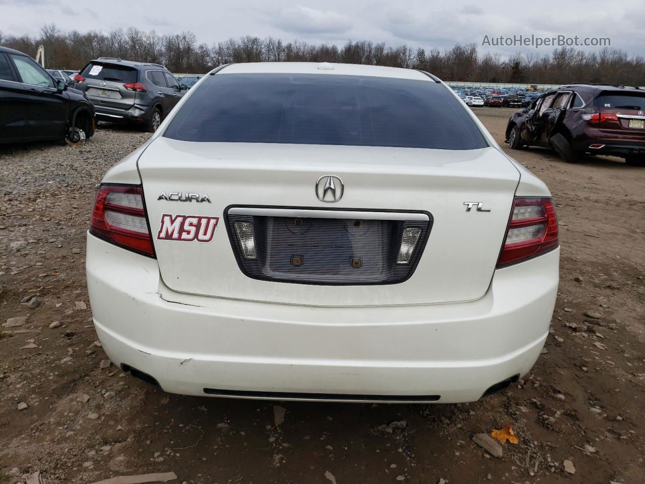 2008 Acura Tl  White vin: 19UUA66228A052876