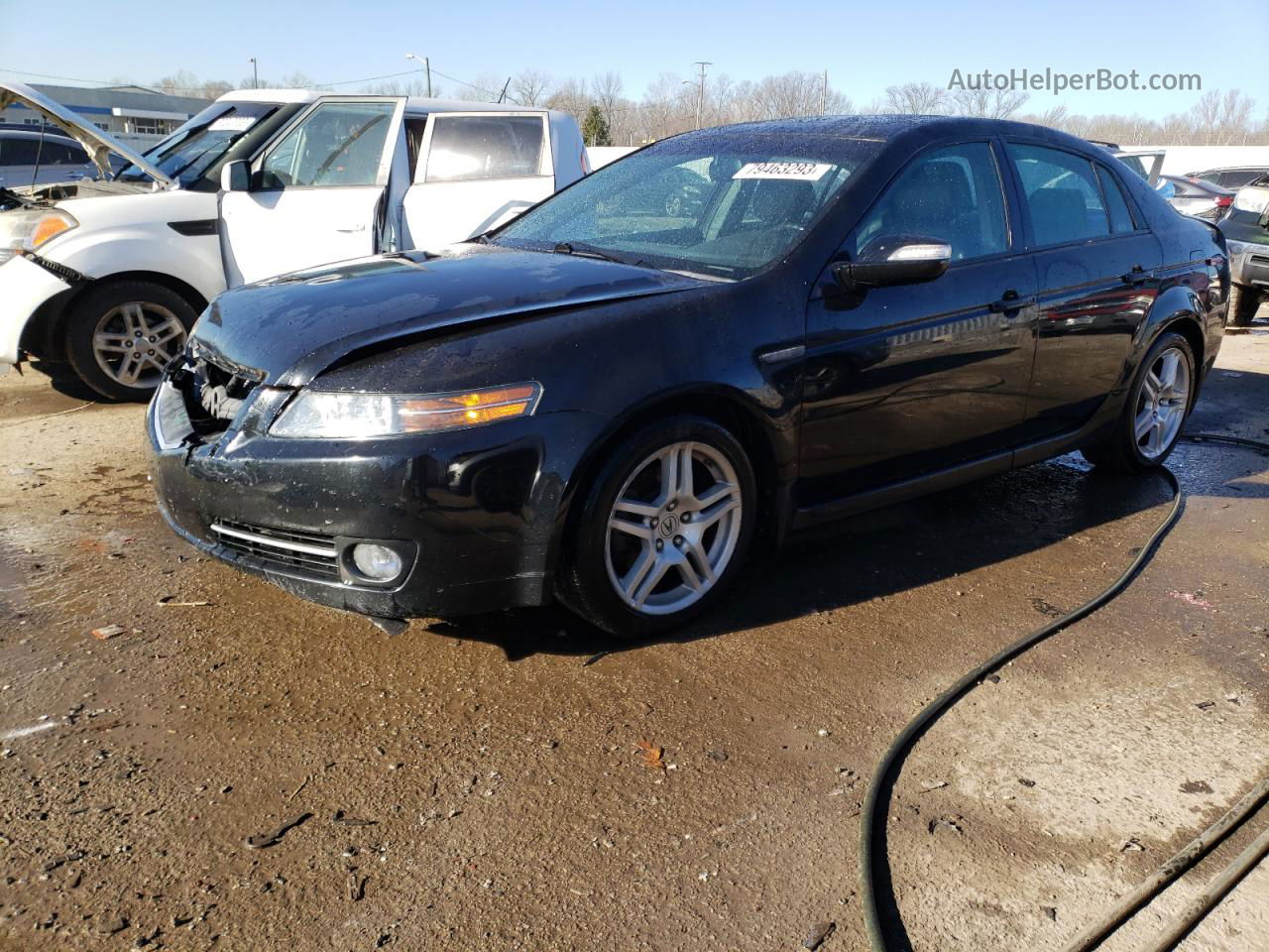 2008 Acura Tl  Black vin: 19UUA66228A055339