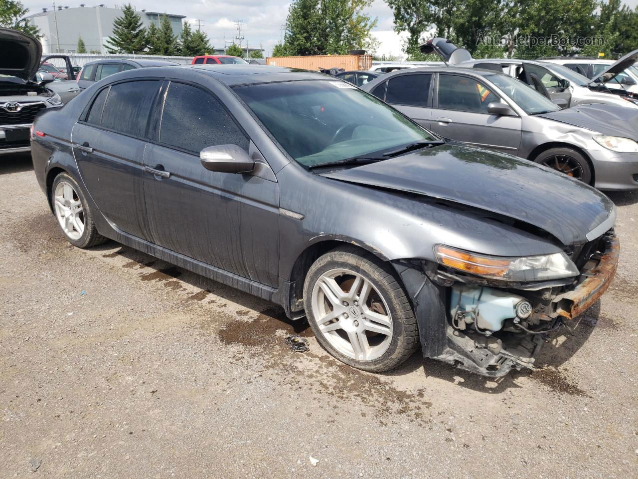 2008 Acura Tl  Gray vin: 19UUA66228A800882