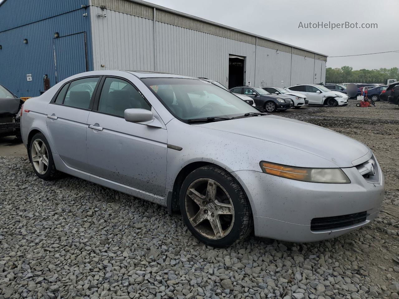 2005 Acura Tl  Silver vin: 19UUA66235A006095