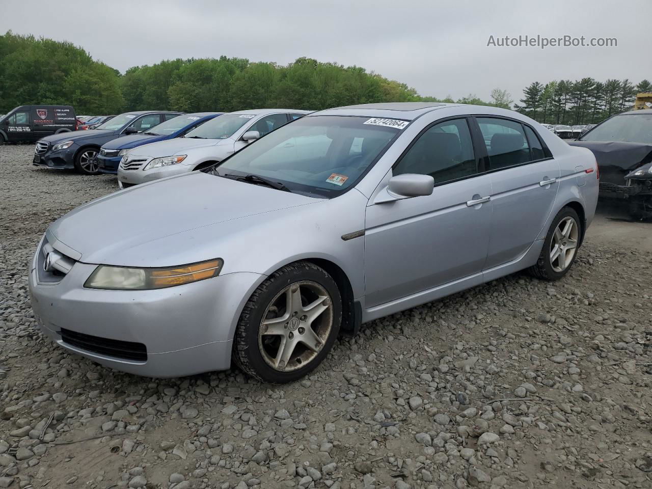 2005 Acura Tl  Silver vin: 19UUA66235A006095