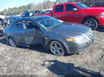 2005 Acura Tl   Gray vin: 19UUA66235A007070