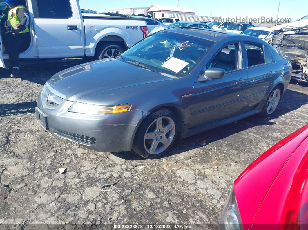 2005 Acura Tl   Серый vin: 19UUA66235A007070