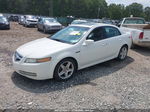 2005 Acura Tl   White vin: 19UUA66235A022989