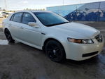 2005 Acura Tl  Белый vin: 19UUA66235A051361