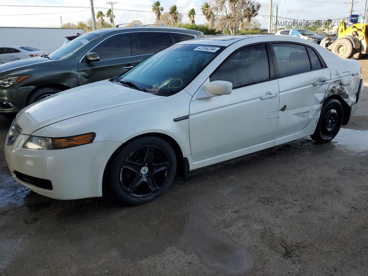 2005 Acura Tl  White vin: 19UUA66235A051361