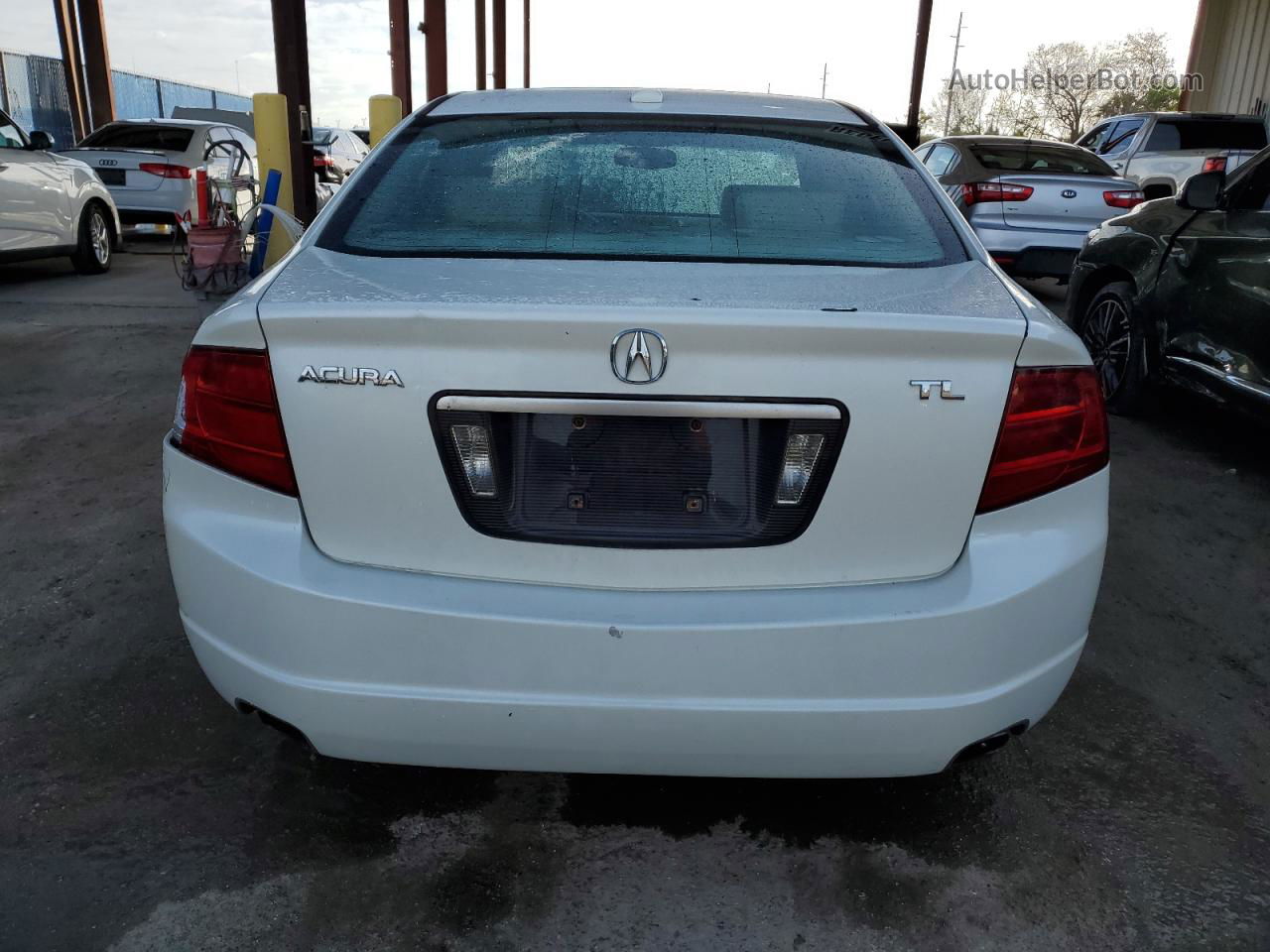 2005 Acura Tl  White vin: 19UUA66235A051361