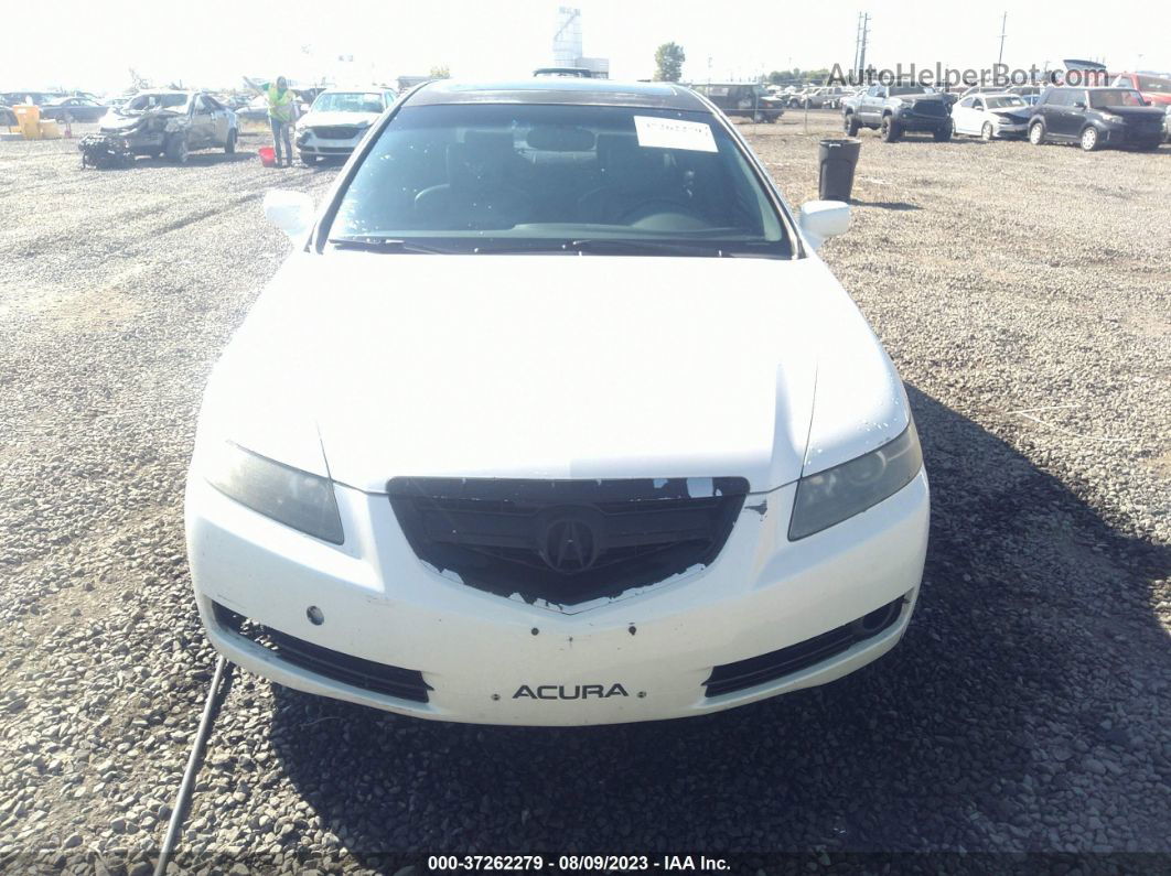 2005 Acura Tl   White vin: 19UUA66235A055555