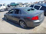 2005 Acura Tl   Gray vin: 19UUA66235A060772