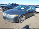 2005 Acura Tl   Серый vin: 19UUA66235A061145