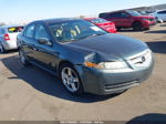 2005 Acura Tl   Серый vin: 19UUA66235A061145