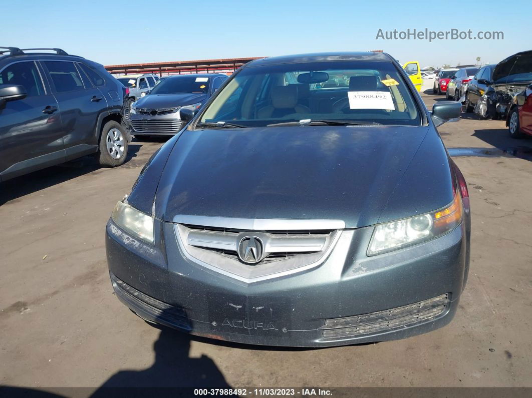 2005 Acura Tl   Gray vin: 19UUA66235A061145